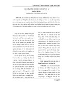 táng tục mộ chum ở Đông Nam Á