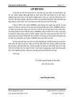 chiến lược phát triển cho Công ty SABMiller