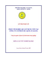 PHÂN TÍCH HIỆU QUẢ SỬ DỤNG VỐN TẠI CÔNG TY CỔ PHẦN DU LỊCH AN GIANG