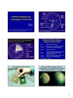 Post-Harvest Biology and Technology of Citrus Fruits