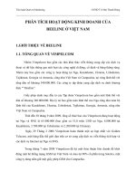 Phân tích hoạt động kinh doanh của Beeline tại Việt Nam