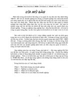 Tổng quan về công ty TNHH Hải Hòa