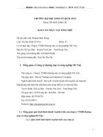 Tổng quan về công ty thương mại và công nghiệp Mỹ Việt