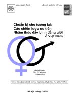 các chiến lược ưu tiên nhằm thúc đẩy bình đẳng giới ở Việt nam