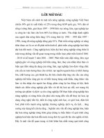 Thực trạng và giải pháp đẩy mạnh quá trình công nghiệp hoá – hiện đại hoá nông nghiệp – nông thôn ở nước ta hiện nay