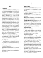 Thực trạng ô nhiễm tại các làng nghề truyền thống tại Việt Nam