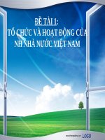 TỔ CHỨC VÀ HOẠT ĐỘNG CỦA NH NHÀ NƯỚC VIỆT NA