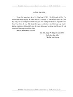 Giải pháp đẩy mạnh xuất khẩu của VIệt Nam sau khủng hoảng tài chính toàn cầu