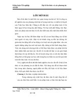 Đại số đa thức và các phương án cài đặt