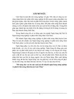 Mở rộng cho vay hộ sản xuất tại chi  nhánh ngân hàng nông nghiệp và phát triển nông thon huyện Lâm Thao