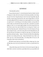 Phân tích cơ cấu chi tiêu và thu nhập của hộ gia đình ở Việt Nam năm 2004