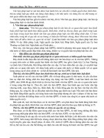 Văn bản pháp luật