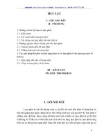 Các giải pháp đối phó và tình trạng thực tế về lạm phát ở Việt nam qua một số thời kỳ