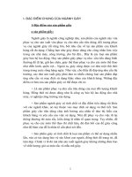 252 Báo cáo tổng hợp về hoạt động sản xuất kinh doanh & các chiến lược marketing ở Công ty giầy thượng đình