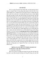 Giải pháp phát triển các doanh nghiệp thương mại bán lẻ nước ta