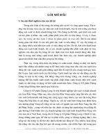 Giải pháp phát triển thị trường rượu vang ở công ty cổ phần Thăng Long