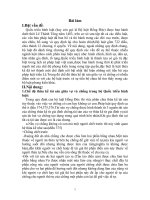 Chế độ thừa kế tài sản giữa vợ và chồng trong bộ Quốc triều hình luật