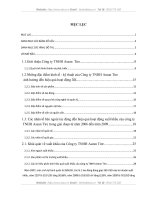 Nâng cao hiệu quả hoạt động xuất khẩu ở công ty TNHH Asean Tire