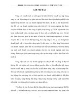 Tăng cường huy động vốn tại Công ty cổ phần thép Việt – ý