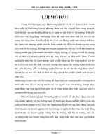 Hoạch định chương trình Marketing năm 2010 ở Công ty CP dược phẩm HAIPHARCO