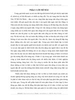 Hạch toán tiêu thụ hàng hoá và xác định kết quả kinh doanh  tại công ty cổ phần Tiện Lợi