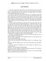 Bất bình  đẳng ở Việt Nam thời gian qua (từ năm 1993 -2008) các nguyên nhân, chỉ số và phân tích, đánh giá.