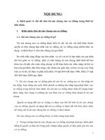 vấn đề chia tài sản chung của vợ chồng trong thời kỳ hôn nhân