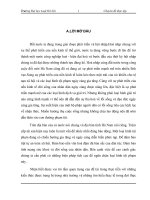 TÌNH HÌNH TRỘM CẮP TRÊN ĐỊA BÀN TỈNH HÀ NAM