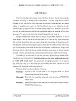 Giải pháp nâng cao khả năng cạnh tranh của công ty TNHH XNK Thành Nam