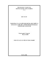 ẢNH HƯỞNG CỦA N, P, K ĐẾN SINH TRƯỞNG, PHÁT TRIỂN VÀ NĂNG SUẤT CÀ PHÊ CATIMOR TRÊN ĐẤT ĐỎ BAZAN Ở HƯỚNG HÓA - QUẢNG TRỊ