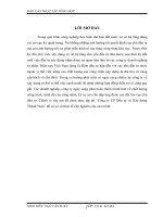 tìm hiểu hoạt động kinh doanh của Công ty CP Đầu tư và Xây dựng Thành Nam