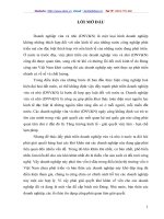 Giải pháp tín dụng ngân hàng nhằm phát triển doanh nghiệp vừa và nhỏ (DNV&N) tại VP Bank