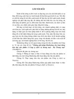 171 Những giải pháp Marketing cho hoạt động tiêu thụ sản phẩm ở Công ty dịch vụ thương mại - Bộ Thương mại (TRASERCO)