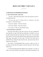 TÌNH HÌNH HOẠT ĐỘNG KINH DOANH CỦA NGÂN HÀNG