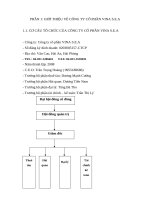 GIỚI THIỆU VỀ CÔNG TY CỔ PHẦN VINA S.E.A