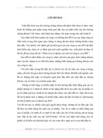 TỔNG QUAN VỀ THỊ TRƯỜNG CHỨNG KHOÁN VIỆT NAM VÀ THỰC TRẠNG CÁC CÔNG TY SAU PHÁT HÀNH LẦN ĐẦU Ở VIỆT NAM