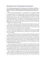 Bồi thường nhà nước với những nguyên tắc của pháp quyền