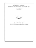 Nêu những nét đặc trưng văn hoá của dân tộc H’mông ở Sơn La