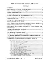 Các phần hạch toán kế toán tại Công ty TNHH Phát triển Tin học