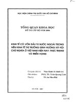 49 Kinh tế có vốn đầu tư nước ngoài trong nền kinh tế thị trường định hướng xã hội chủ nghĩa ở Việt Nam hiện nay  Thực trạng và triển vọng