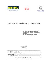 phân tích ngành hàng nhãn tỉnh Hưng Yên