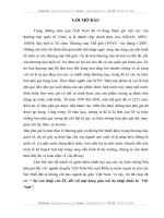 Sự can thiệp của EU đối với mặt hàng giày mũ da nhập khẩu từ  Việt Nam