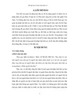 một số vấn đề lý luận cũng như thực tiễn liên quan đến vấn đề đại diện trong quan hệ pháp luật dân sự