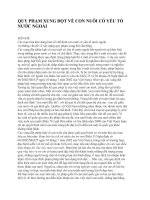 QUY PHẠM XUNG ĐỘT VỀ CON NUÔI CÓ YẾU TỐ NƯỚC NGOÀI