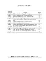 Thực trạng và giải pháp phát triển thị trường tiêu thụ của công ty cổ phần Viễn Thông Tin Học Bưu Điện