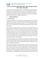 BÁO CÁO TỔNG HỢP DIỄN BIẾN THỊ TRƯỜNG NÔNG SẢN VIỆT NAM 2006