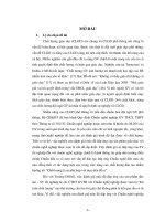 Đánh giá mức độ đáp ứng với Chuẩn nghề nghiệp giáo viên trung học phổ thông của Cử nhân Sư phạm do Trường đại học An Giang đào tạo