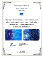 the integrated competing values framework