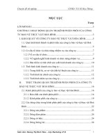 217 Giải pháp marketing cho quản trị kênh phân phối của Công ty bảo vệ thực vật hoà Bình