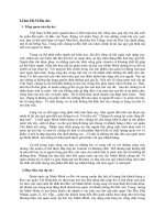 Tổng quan về Doanh Nghiệp Tư Nhân Minh Trần